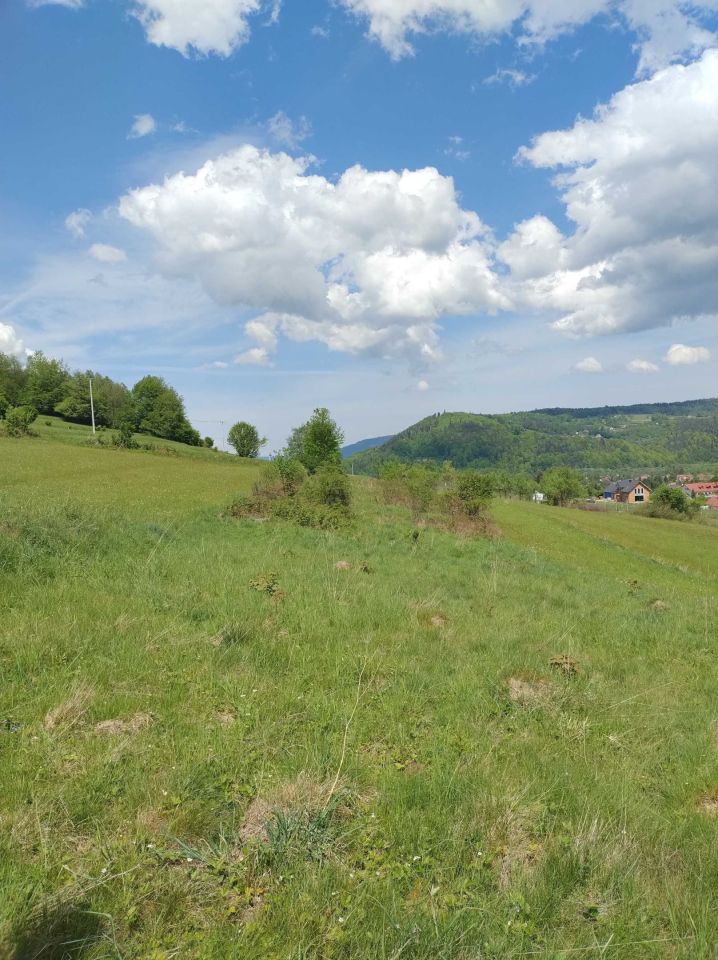 Działka rolna Świnna. Zdjęcie 4