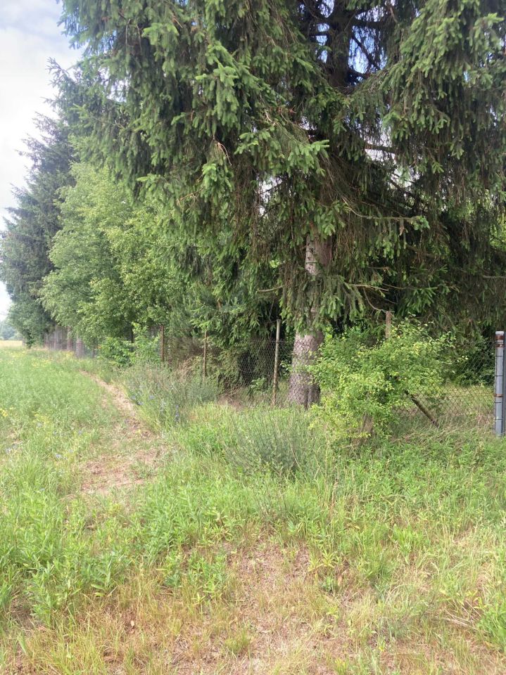 Działka budowlana Husinka. Zdjęcie 7