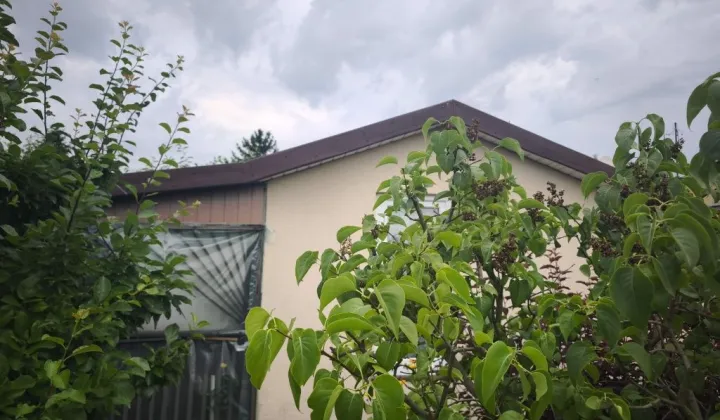 Działka rod Żychlin, ul. Łukasińskiego