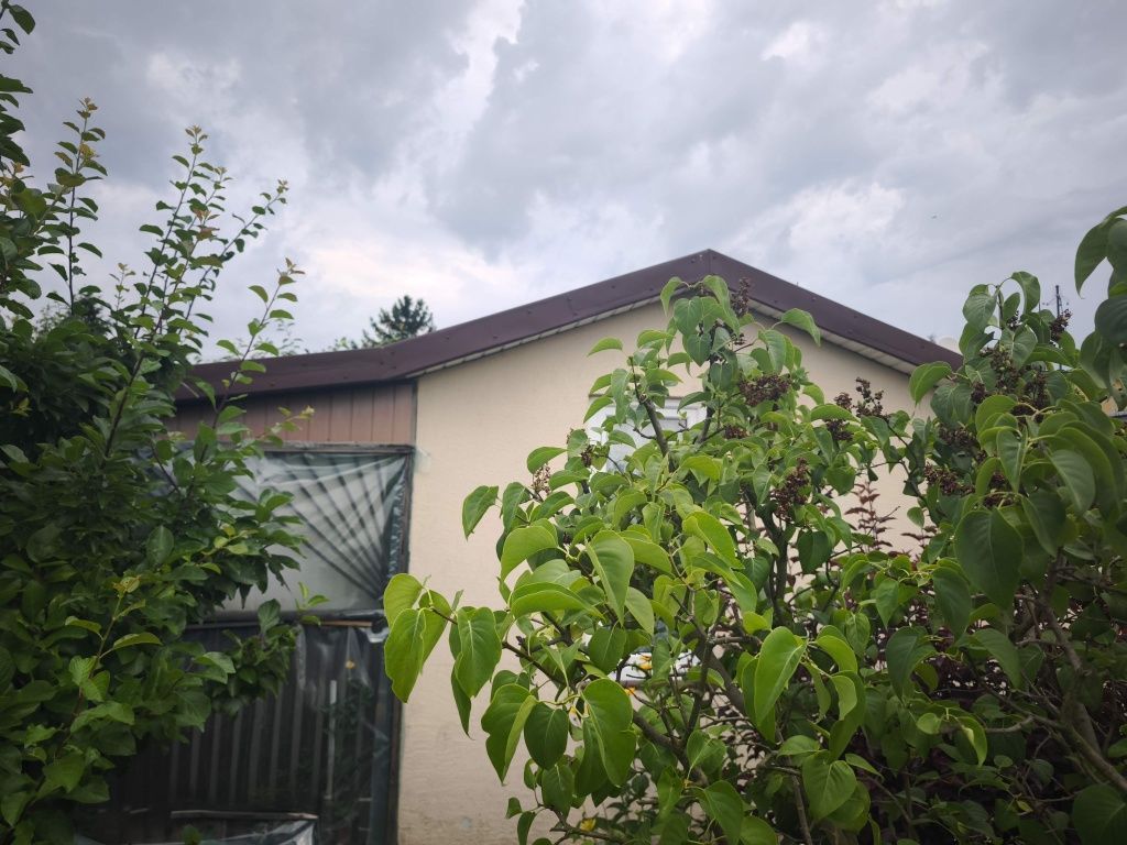 Działka rod Żychlin, ul. Łukasińskiego. Zdjęcie 1