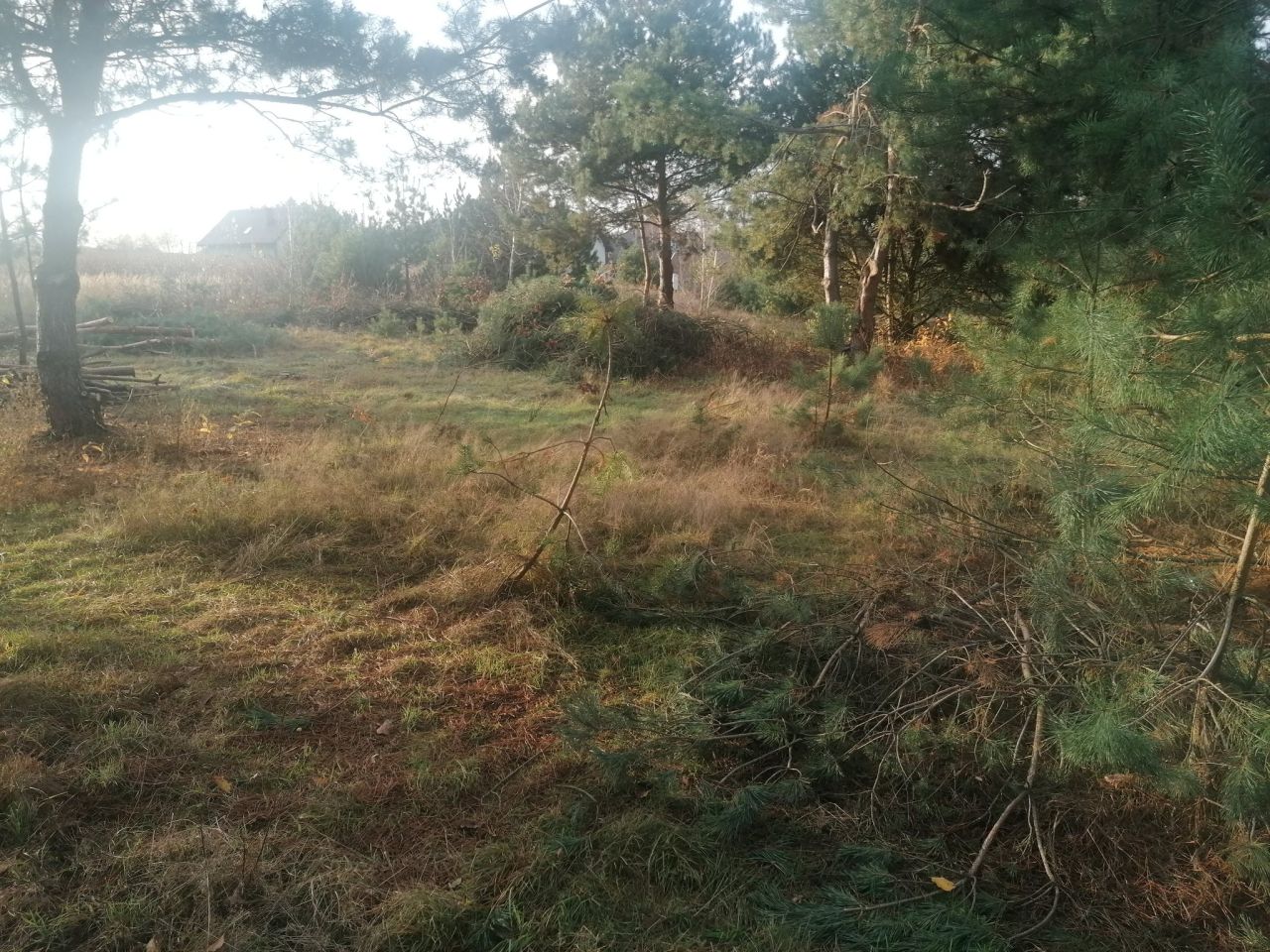 Działka rolna Kępina. Zdjęcie 7