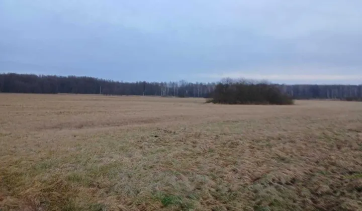 Działka rolna Słupia