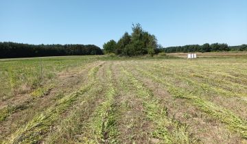 Działka budowlana Wręczyca Wielka, ul. Tęczowa