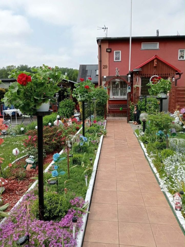 Działka rod Zabrze. Zdjęcie 4