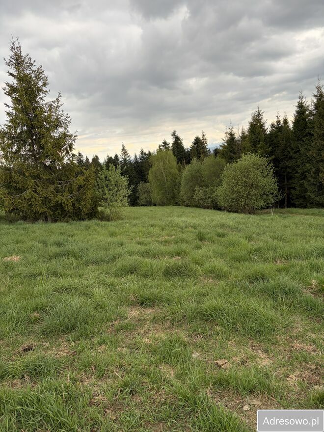 Działka budowlana Orawka. Zdjęcie 3