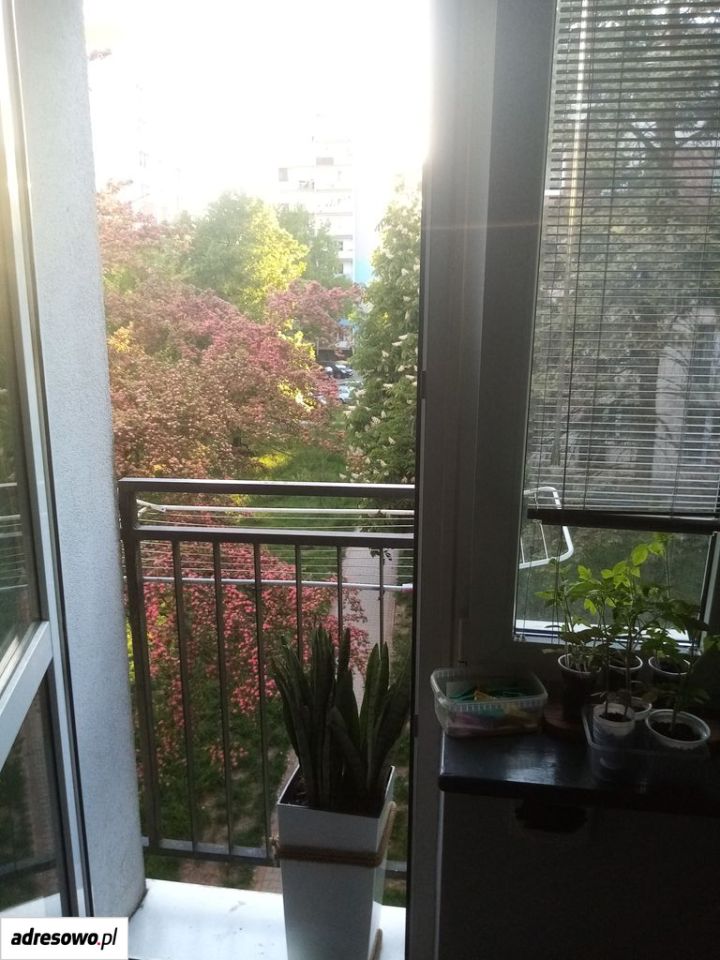 Mieszkanie 2-pokojowe Poznań Grunwald, ul. Pogodna. Zdjęcie 14