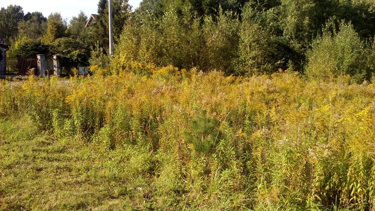 Działka budowlana Gdynia Chwarzno-Wiczlino, ul. Śliska. Zdjęcie 4