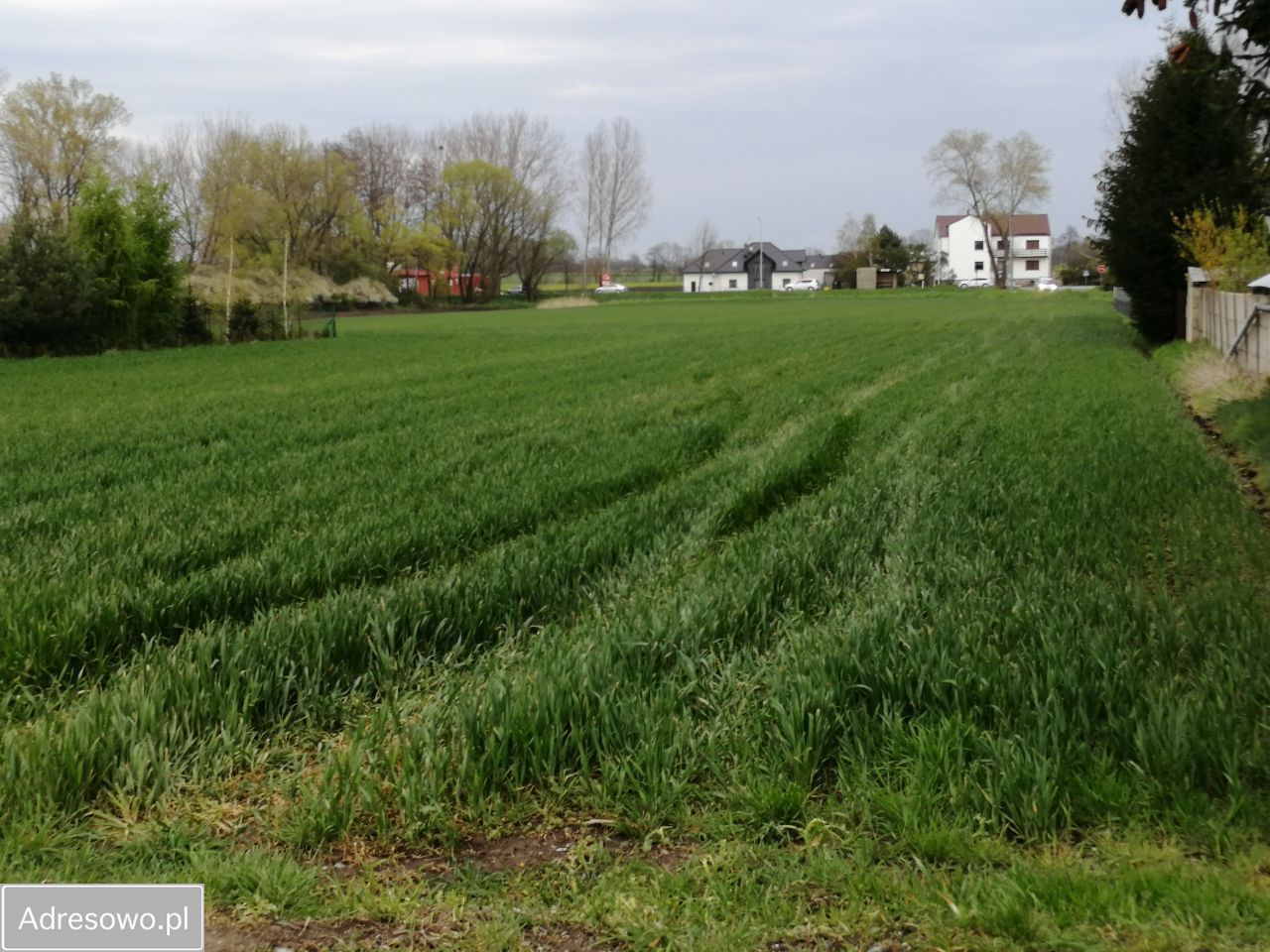 Działka budowlana Wierzbice, ul. Źródlana. Zdjęcie 2