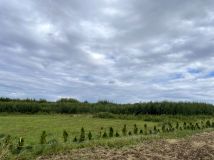 Działka budowlana Połchowo, ul. Polna. Zdjęcie 1