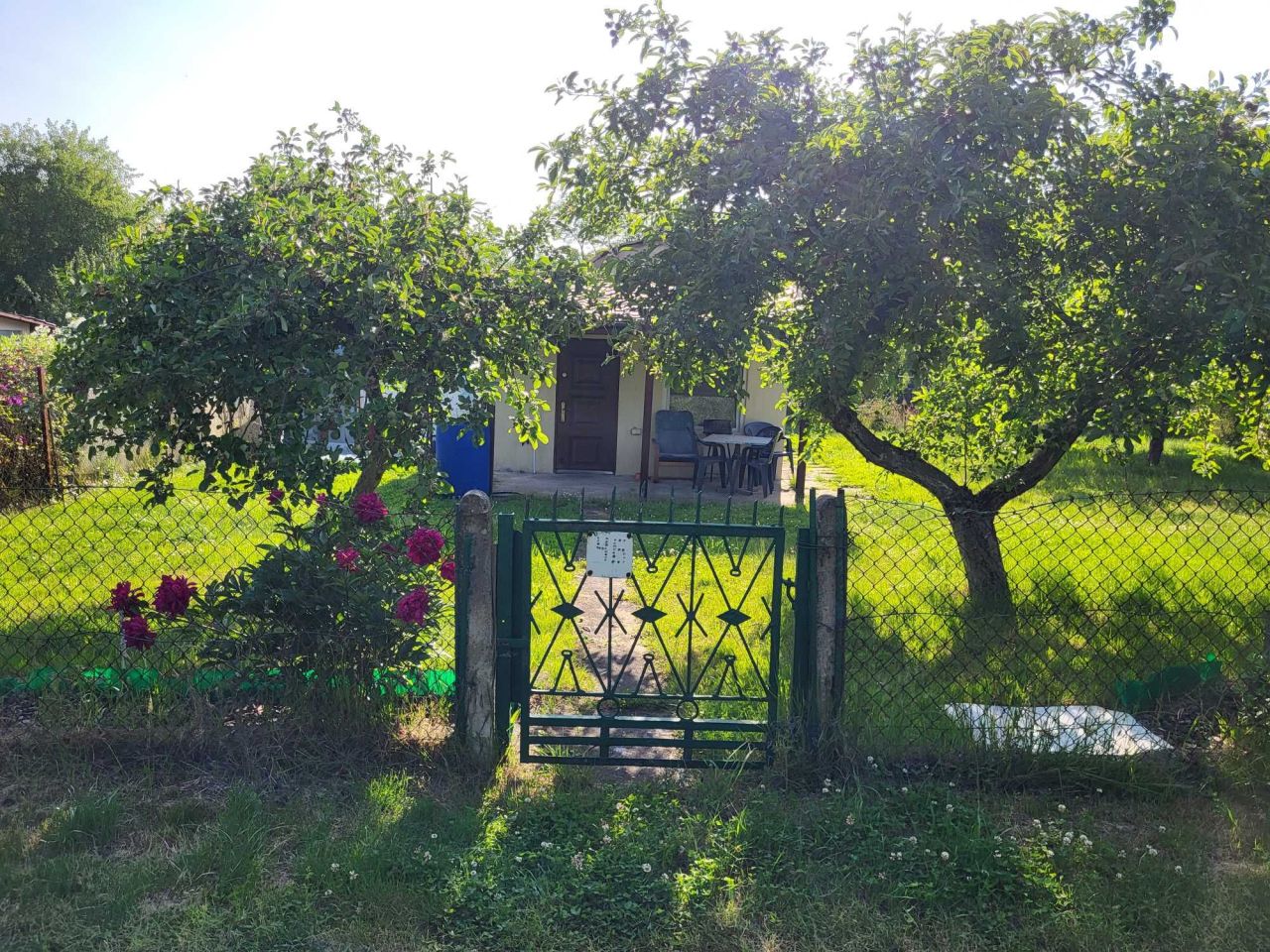 Działka rod Szczecin Bukowo, ul. Górna. Zdjęcie 2