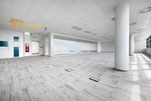 Lokal Gdynia Redłowo, ul. Łużycka. Zdjęcie 9