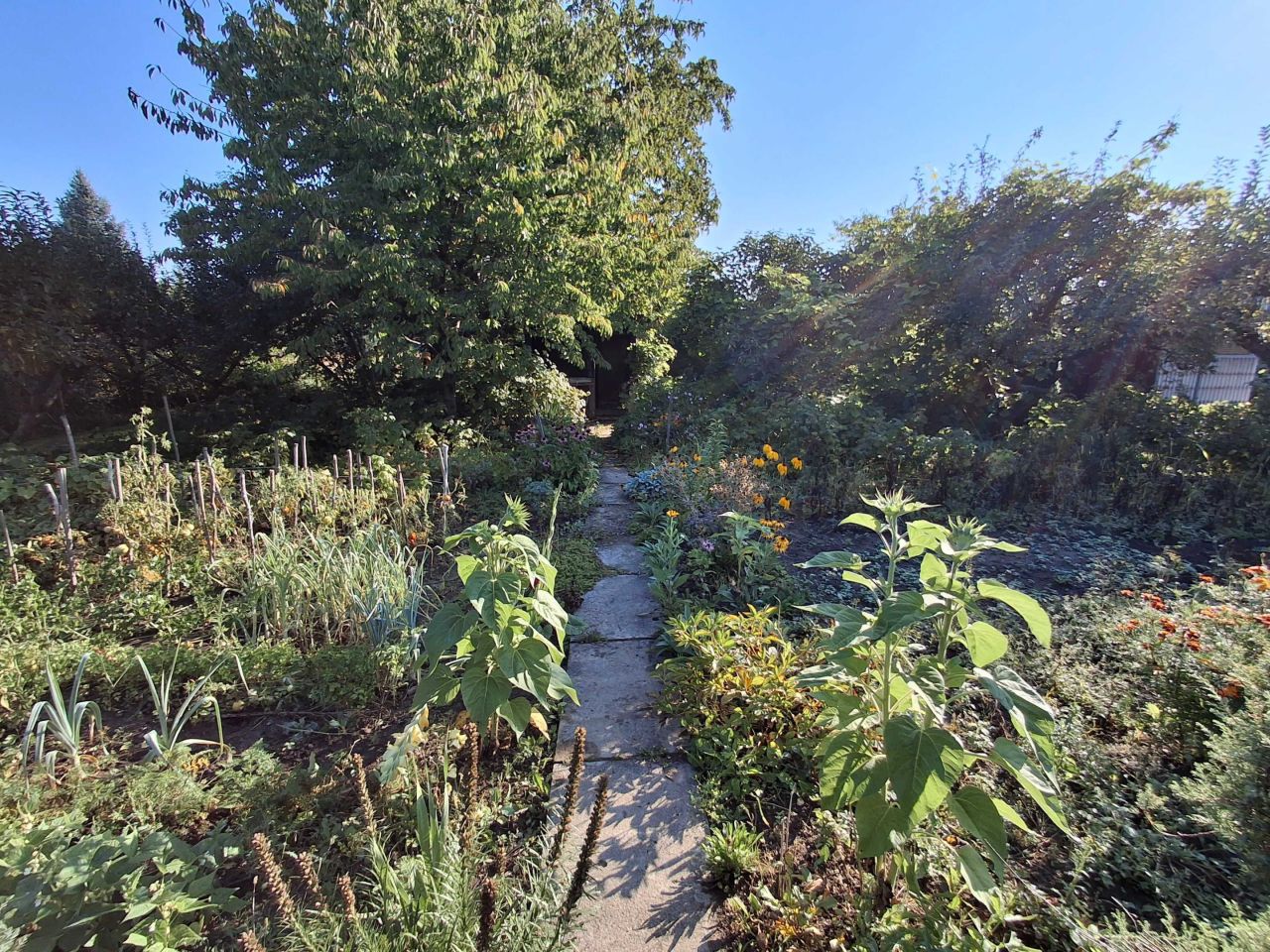 Działka rod Bielsko-Biała Wapienica, ul. Działkowców. Zdjęcie 2