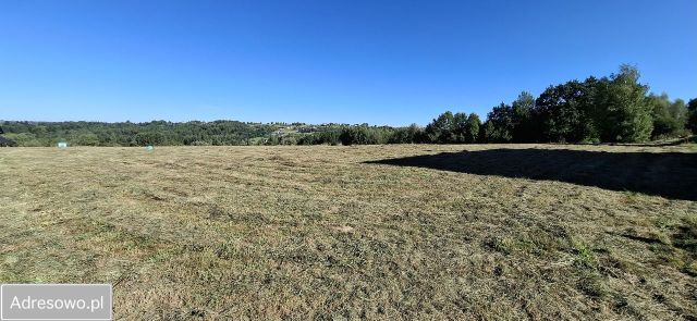 Działka rolno-budowlana Borzęta. Zdjęcie 1