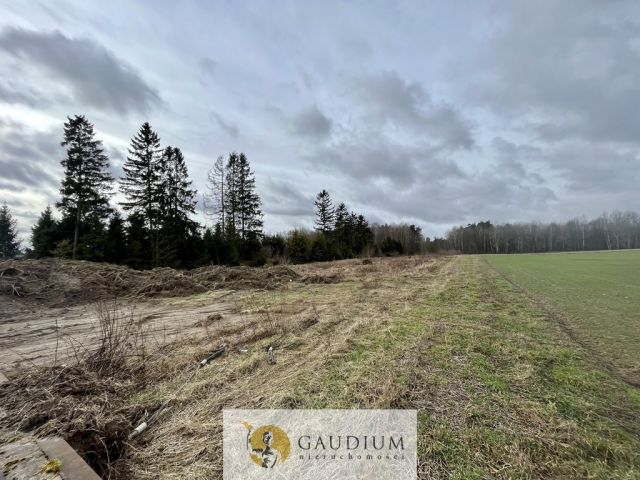 Działka Więckowy. Zdjęcie 3