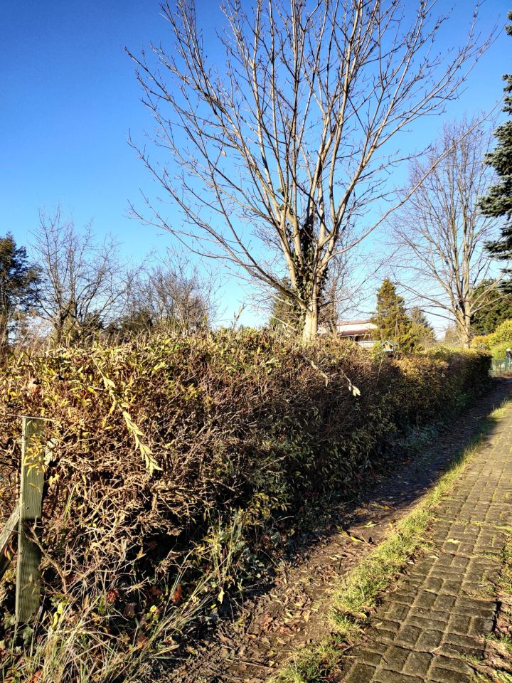 Działka rod Łódź Stoki, ul. Jana Dębowskiego. Zdjęcie 4