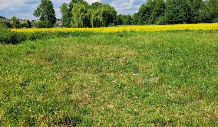 Działka budowlana Poniatowice