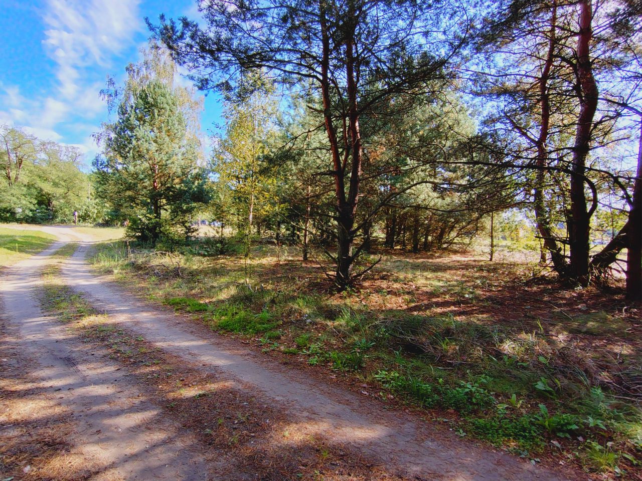 Działka budowlana Zuzanów. Zdjęcie 3