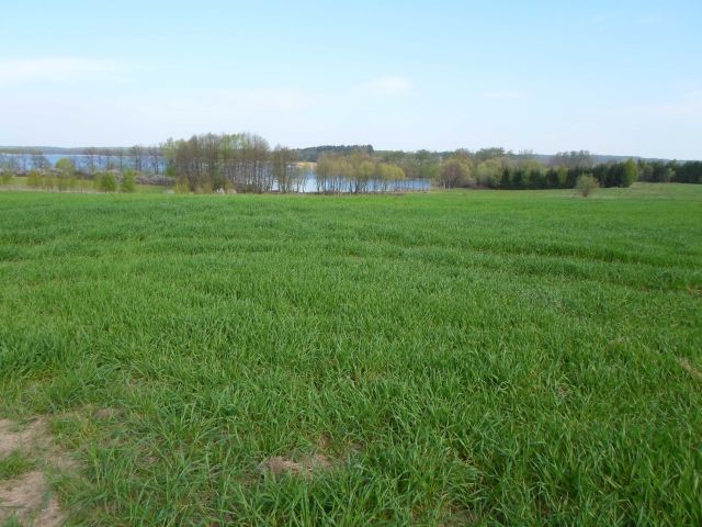 Działka rolno-budowlana Wilnowo. Zdjęcie 1