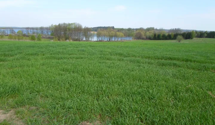 Działka rolno-budowlana Wilnowo