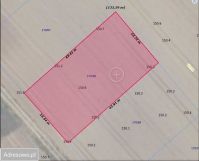 Działka budowlana Banino. Zdjęcie 2