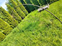 Działka rod Świdniczek. Zdjęcie 2