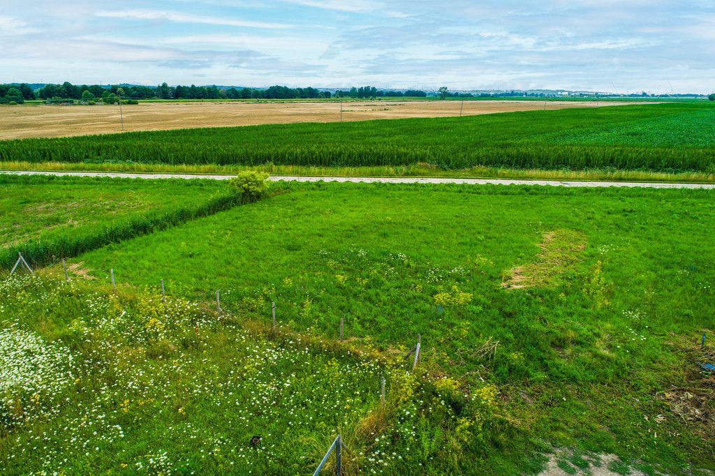 Działka budowlana Rokitnica, ul. Śliwkowa. Zdjęcie 9