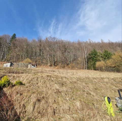 dom wolnostojący, 9 pokoi Jelenia Góra Jagniątków. Zdjęcie 17