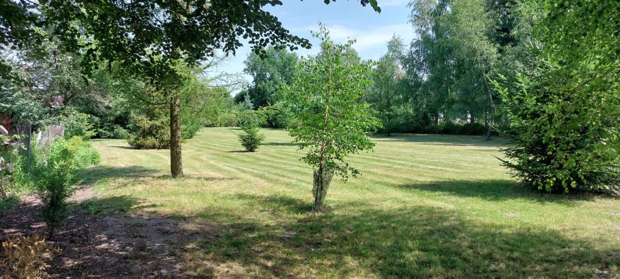 dom wolnostojący, 3 pokoje Chotów, Chotów. Zdjęcie 15