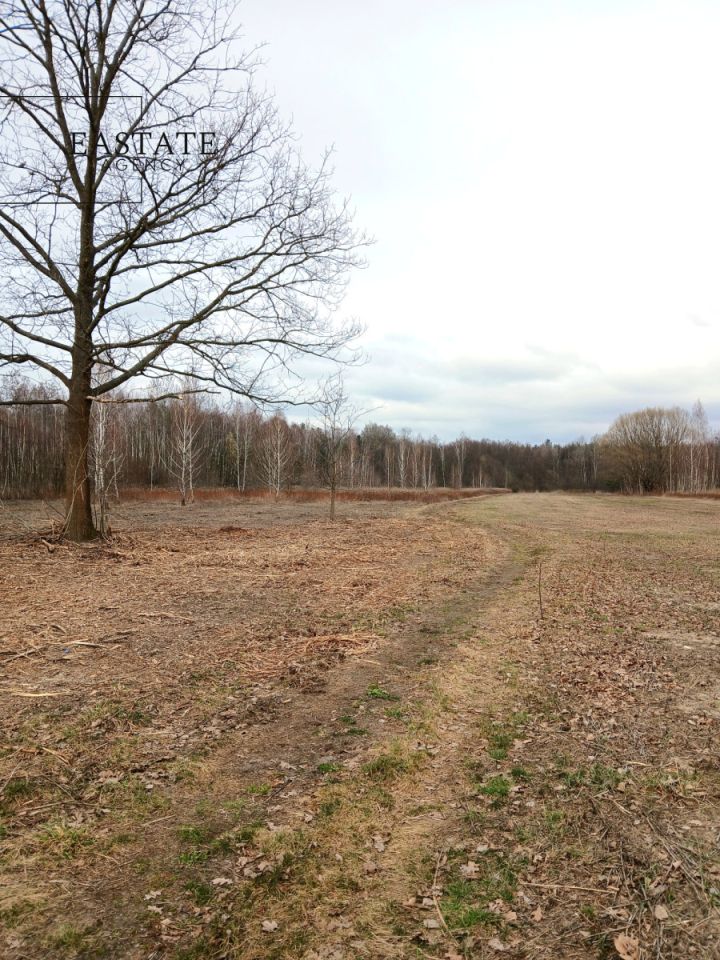 Działka budowlana Koryta. Zdjęcie 5