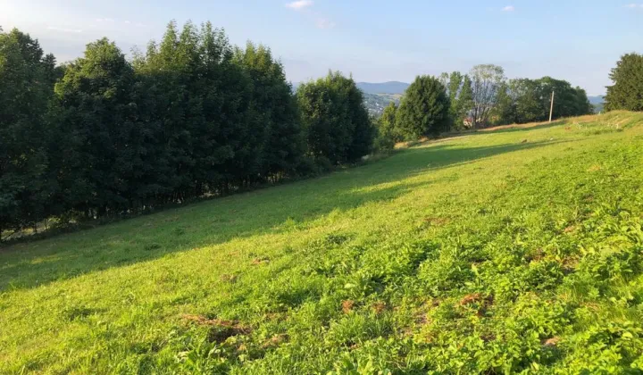 Działka budowlana Jaworzynka