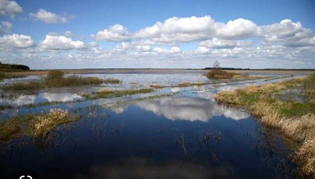 Działka budowlana Siemianówka. Zdjęcie 1