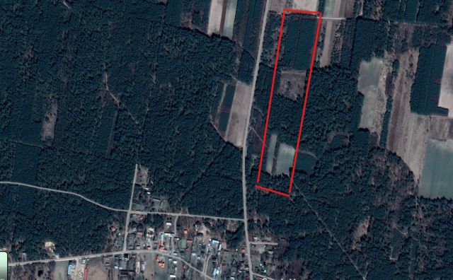 Działka leśna Stare Lipki. Zdjęcie 1