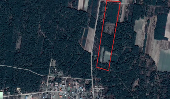 Działka leśna Stare Lipki