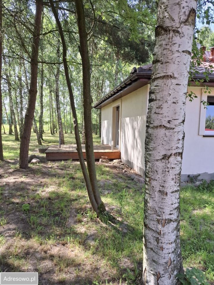 siedlisko Janaszów. Zdjęcie 4