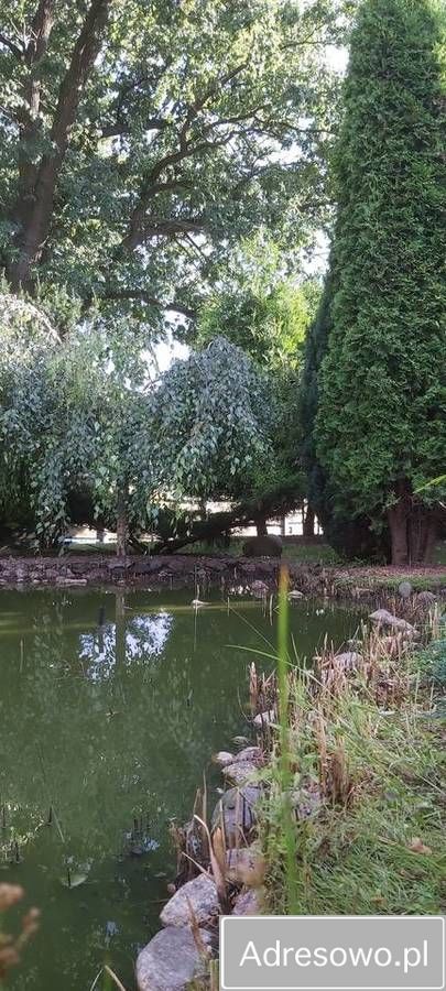 dom wolnostojący, 4 pokoje Kleszczyna. Zdjęcie 7