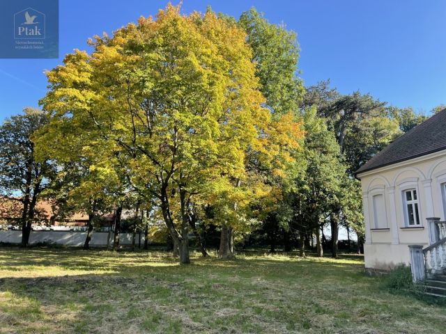 dworek, 20 pokoi Bojanowo. Zdjęcie 20