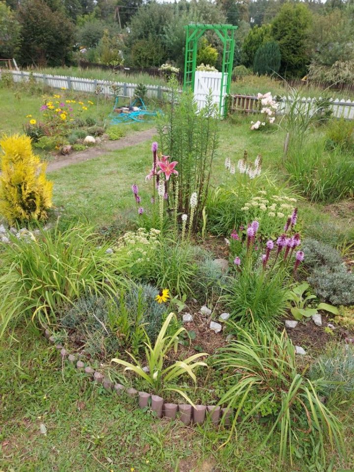 Działka rod Lębork. Zdjęcie 2