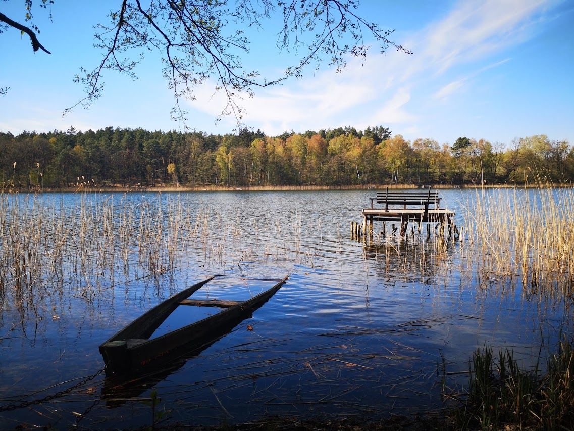 Działka rekreacyjna Jelenin. Zdjęcie 6