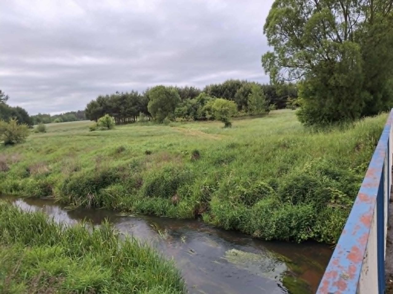 Działka rolna Kamińsko