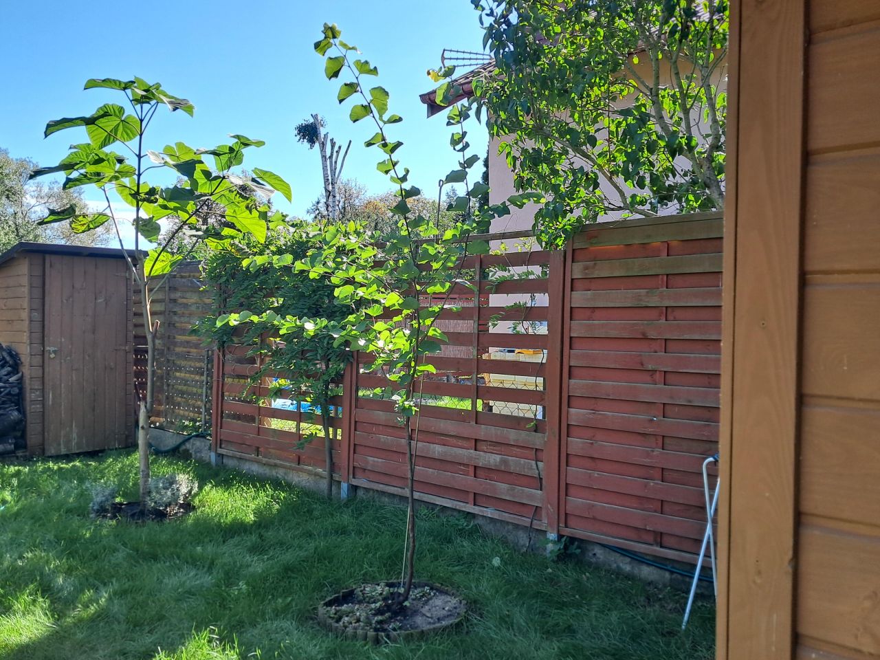 Działka rekreacyjna Żurczyn. Zdjęcie 12