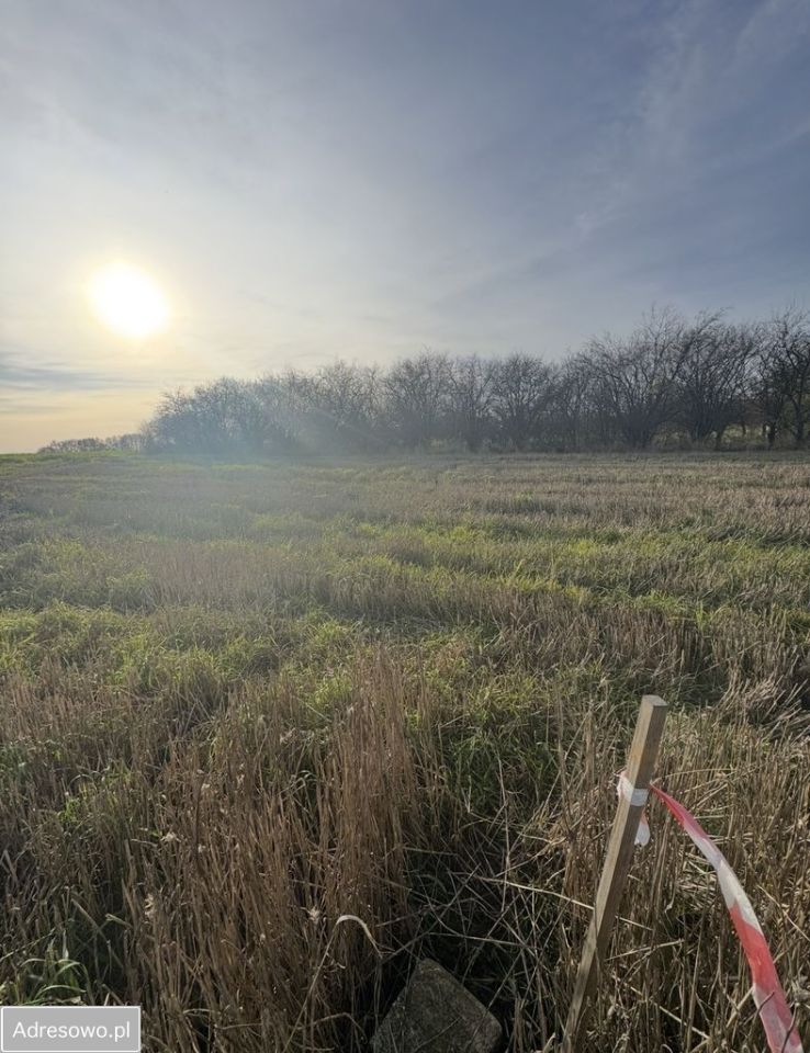 Działka budowlana Rzeplin. Zdjęcie 3