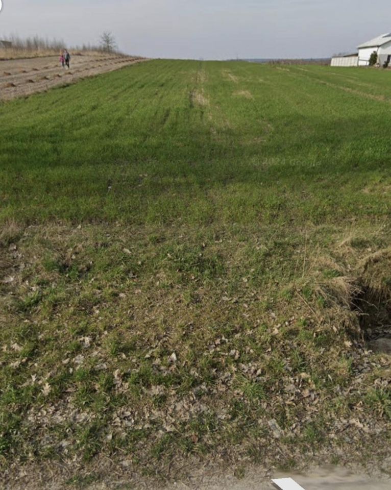 Działka rolno-budowlana Niemścice, Niemścice. Zdjęcie 3