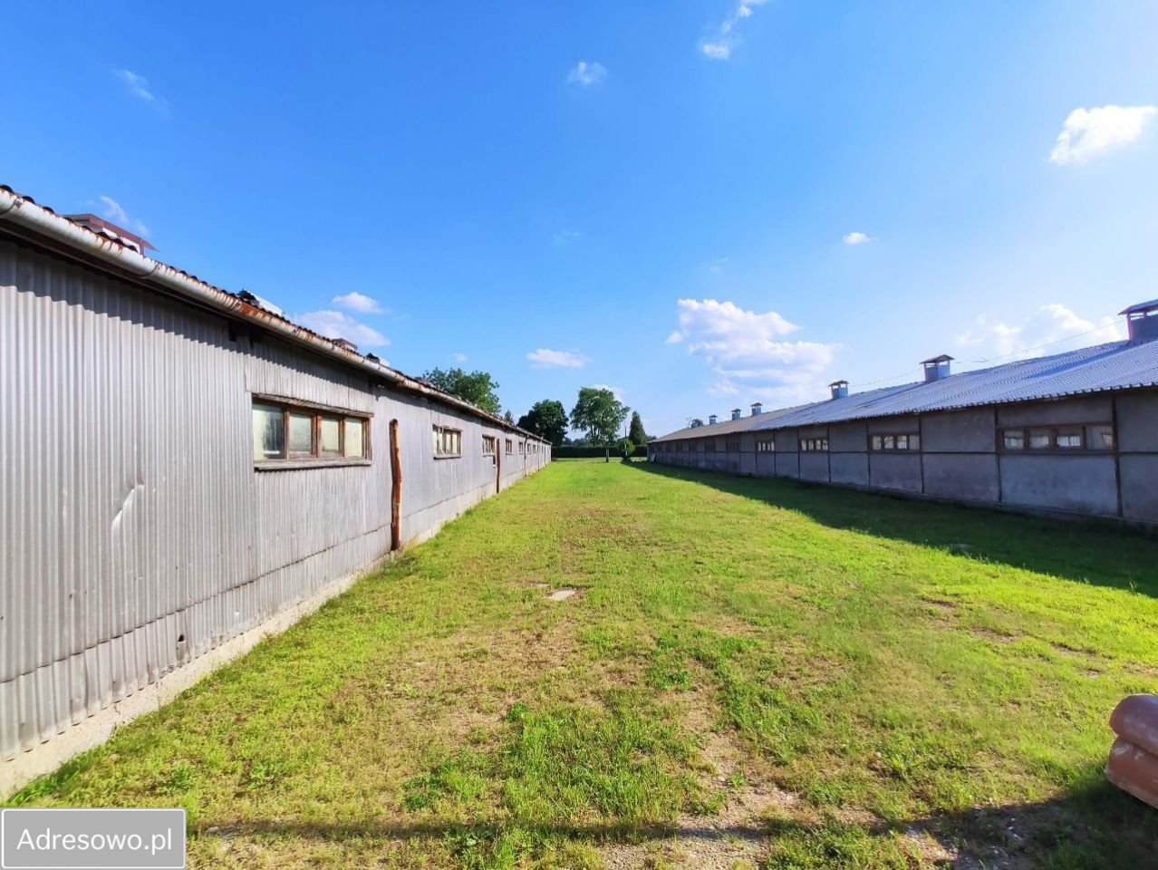 Hala/magazyn Pustków. Zdjęcie 6