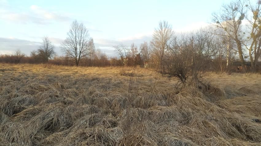 Działka rolno-budowlana Częstochowa Gnaszyn Górny, ul. Podbiałowa. Zdjęcie 2