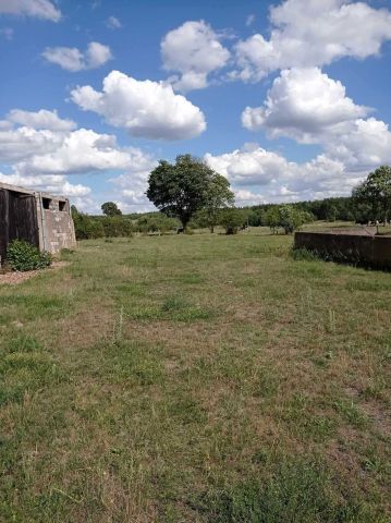 Działka inwestycyjna Białaszewo-Kolonia. Zdjęcie 1