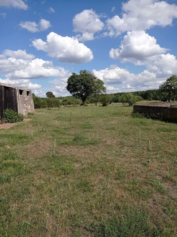 Działka inwestycyjna Białaszewo-Kolonia