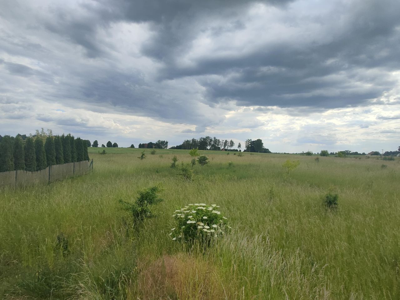 Działka budowlana Psarskie. Zdjęcie 3