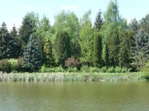 Działka rekreacyjna Siemianów. Zdjęcie 4