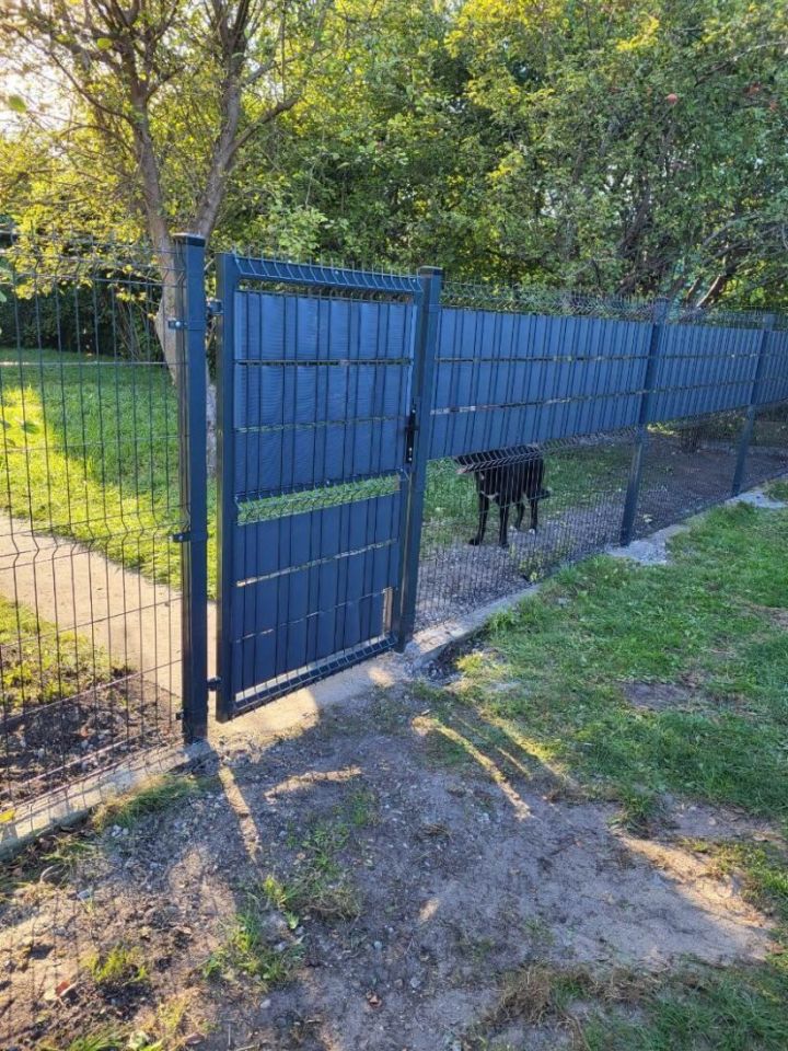 Działka rod Zagościniec. Zdjęcie 4