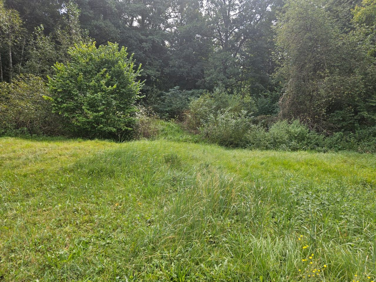 Działka budowlana Łącznica. Zdjęcie 4